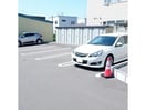  サンモール桔梗