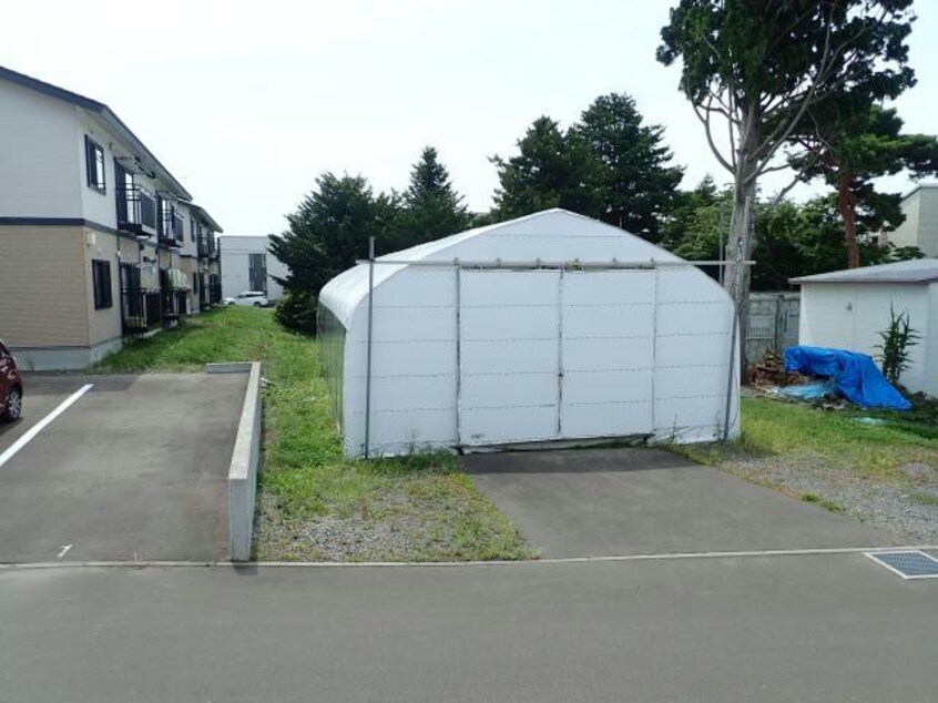  サンモール桔梗