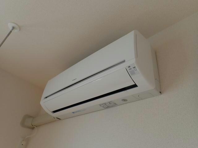  サンモール桔梗