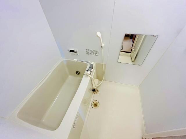  サンモール桔梗