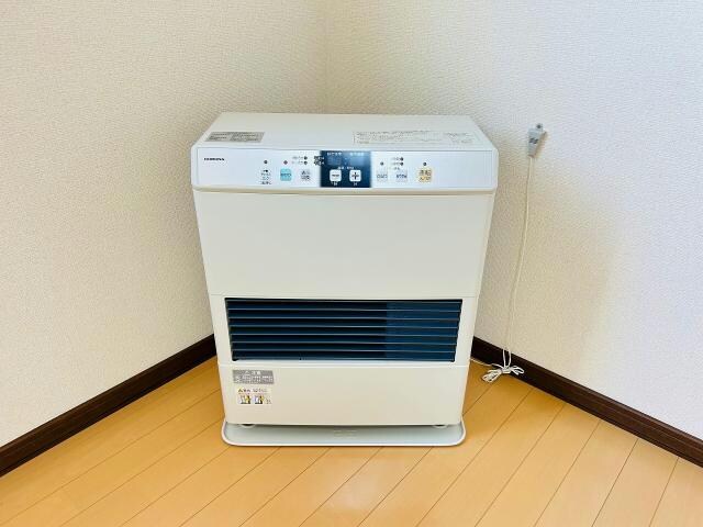  サンモール桔梗