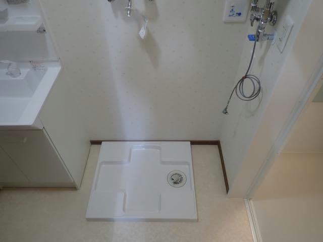  アンジェリカエール