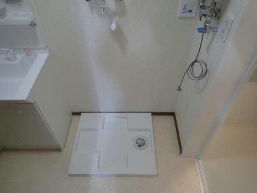  アンジェリカエール