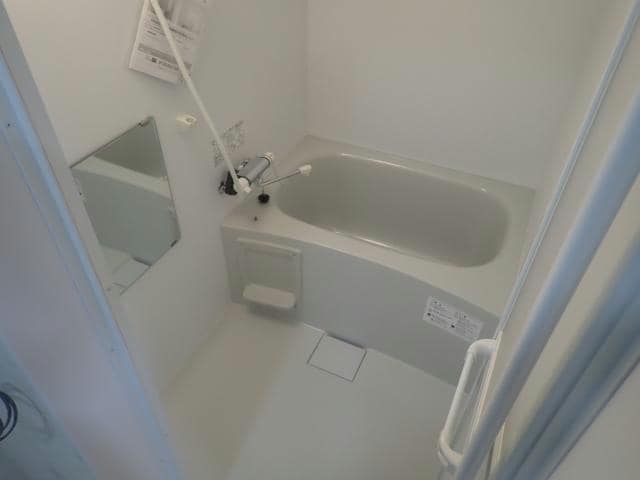  アンジェリカエール