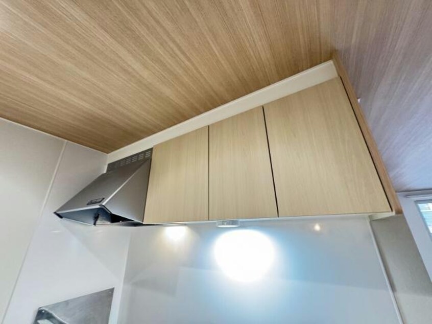  ビラミカエル13