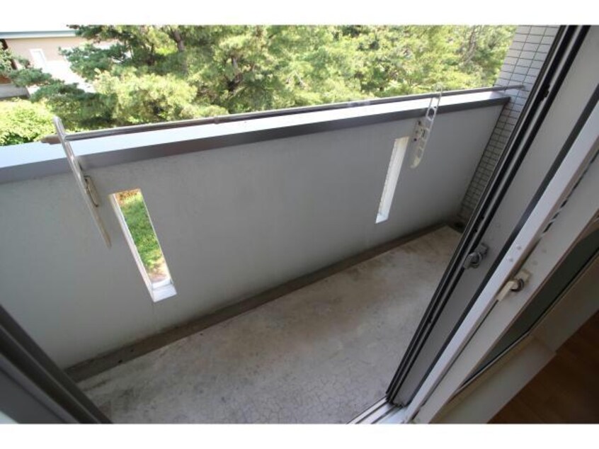  グランディス　ビューティー