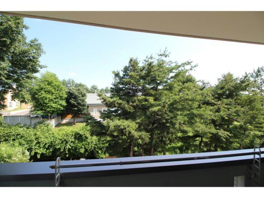  グランディス　ビューティー