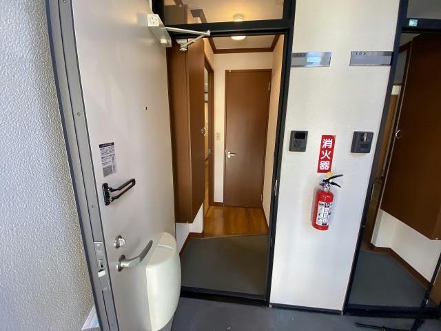  ポールスター桔梗