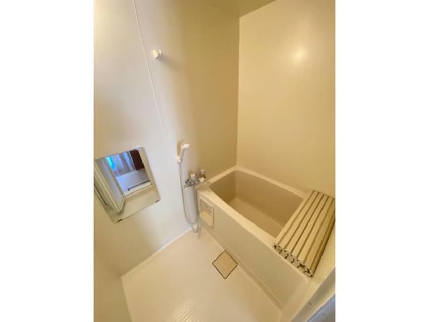  ポールスター桔梗