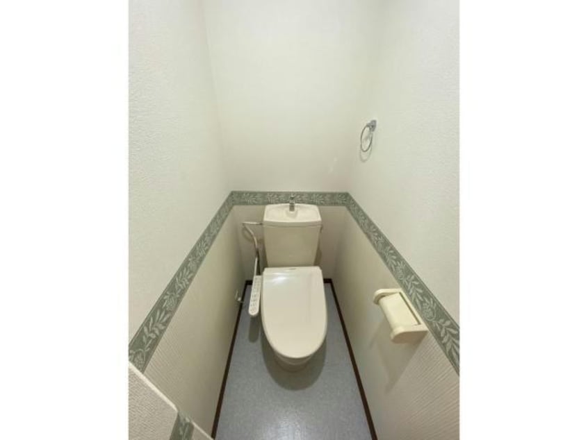  ポールスター桔梗