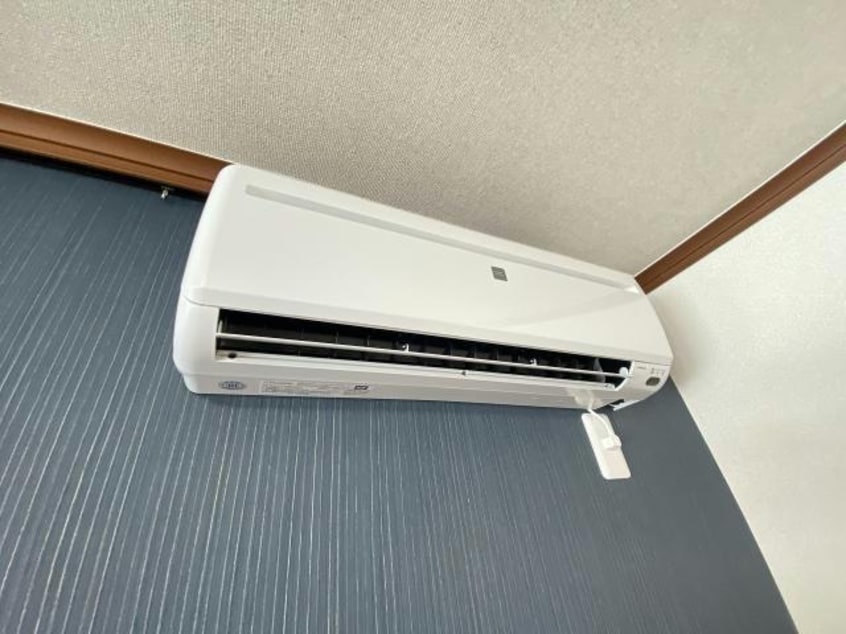  ポールスター桔梗