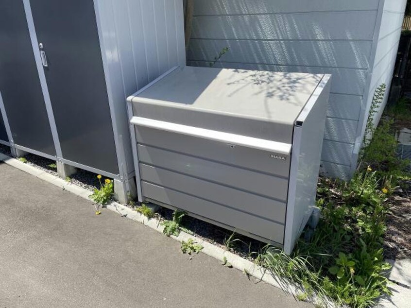  robusto　ロブスト