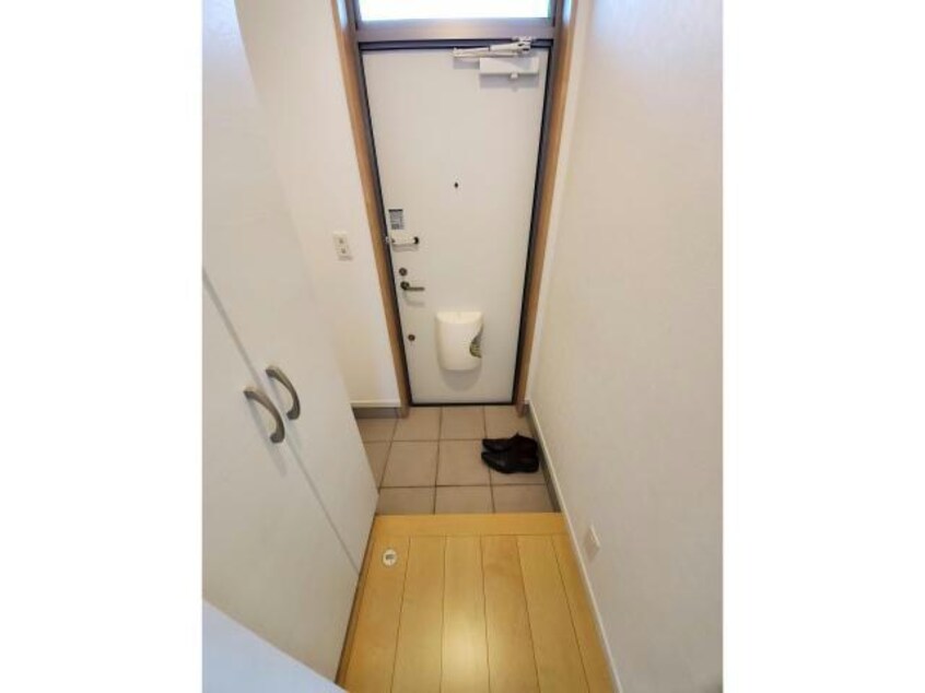  robusto　ロブスト