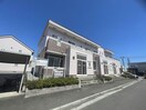  エスペランス桔梗