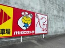 ハセガワストア湯の川店(コンビニ)まで553m ルチェ　ソラーレ