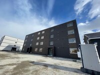 Stella桔梗～ステラ桔梗～