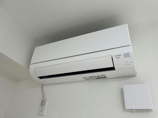  Stella桔梗～ステラ桔梗～