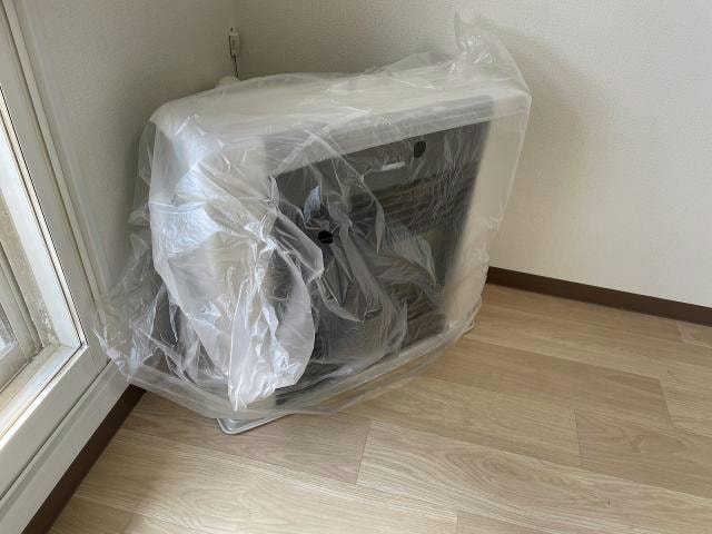  Stella桔梗～ステラ桔梗～