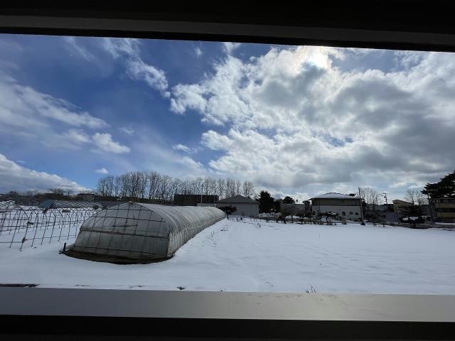  Stella桔梗～ステラ桔梗～