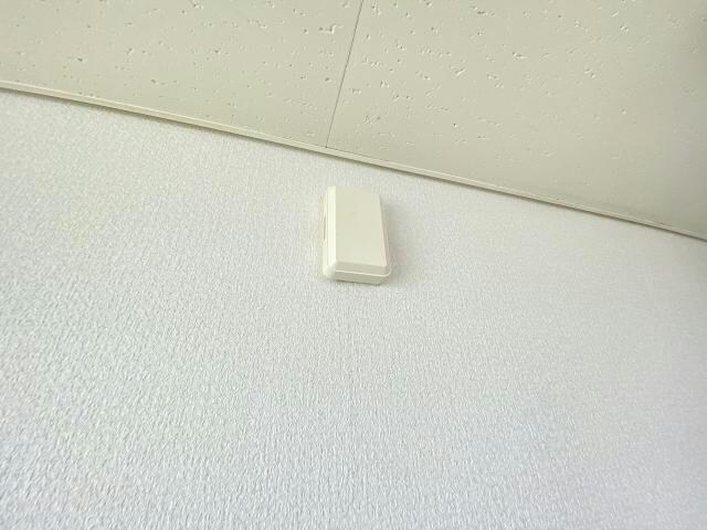  TADマンシオン