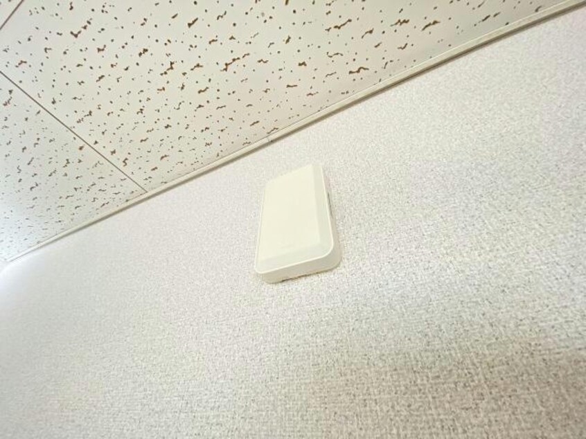  TADマンシオン