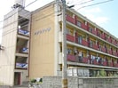 名鉄津島線･尾西線（須ケ口-弥富）/甚目寺駅 徒歩8分 1階 築59年の外観