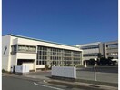 大治町立大治南小学校(小学校)まで722m 名古屋市営地下鉄東山線/中村公園駅 バス10分東条下車:停歩3分 1階 築25年