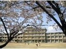 津島市立東小学校(小学校)まで463m 名鉄津島線･尾西線（須ケ口-弥富）/津島駅 徒歩10分 2階 築30年