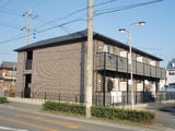 アンプルール　リーブル　ＧＲＥＥＮ
