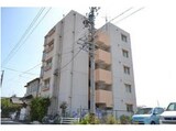 クオーレ稲島