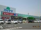 ドラッグスギヤマ十四山店(ドラッグストア)まで592m 近鉄名古屋線/近鉄弥富駅 徒歩25分 1階 築15年