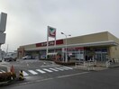 ヨークベニマル希望ヶ丘店(スーパー)まで795m 東北新幹線（東北地方）/郡山駅 バス20分郡山高校下車:停歩1分 3階 築30年