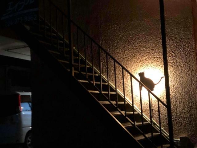  磐越西線<森と水とロマンの鉄道>/郡山富田駅 徒歩25分 1階 築43年