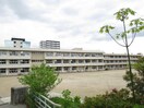 郡山市立赤木小学校(小学校)まで483m 東北本線/郡山駅 徒歩22分 1階 築27年