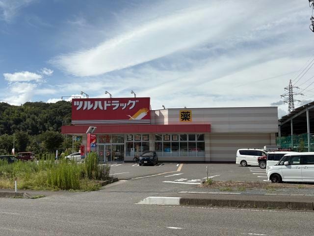 ツルハドラッグ須賀川南店(ドラッグストア)まで226m 東北本線/須賀川駅 徒歩43分 1階 築20年