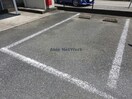  セレッソプラーサ
