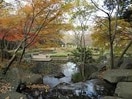 国分寺中央公園(公園)まで632m ラセゾン１番館