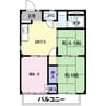 ニューパレス 3DKの間取り