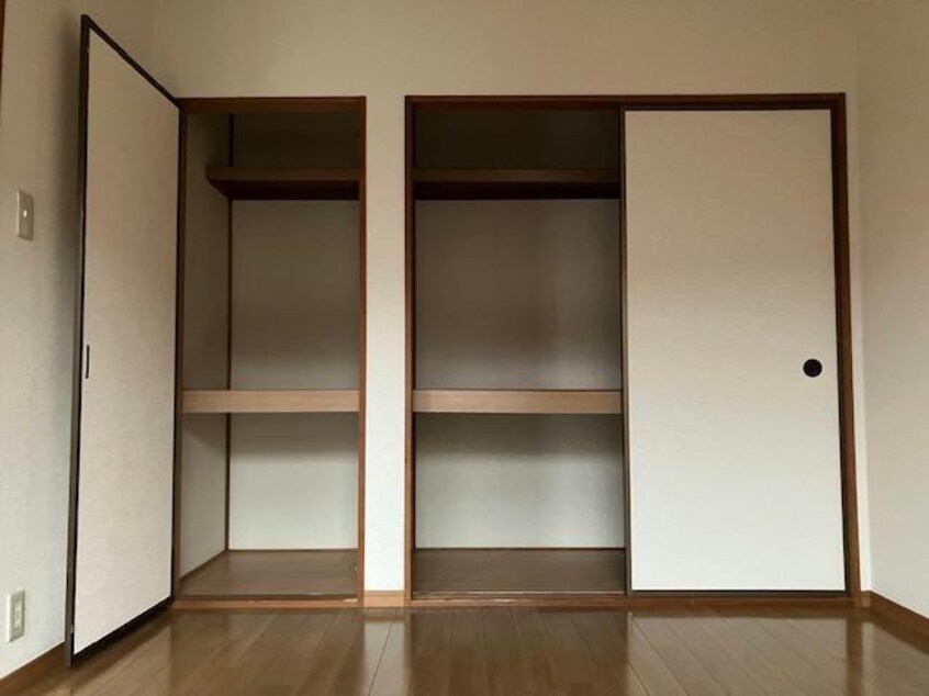  スプリングクレイン