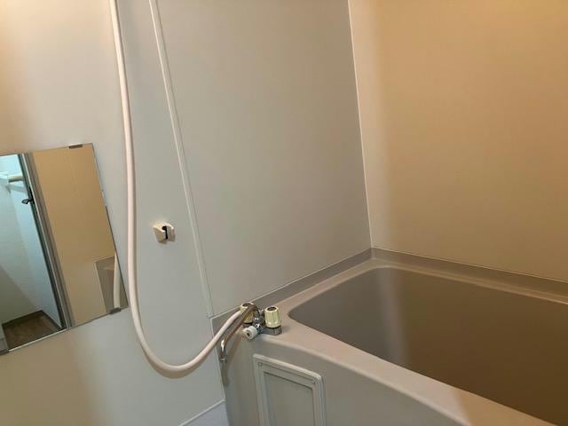  スプリングクレイン