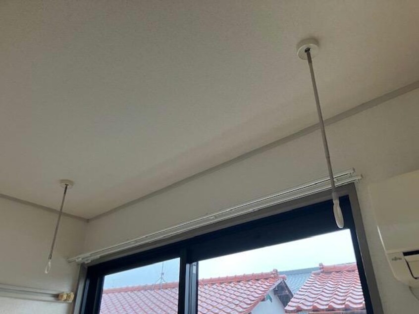  スプリングクレイン