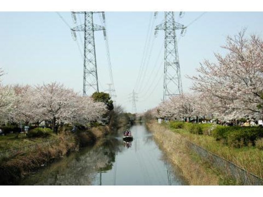 北五井緑道(公園)まで613m スプリングクレイン
