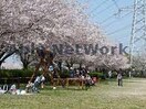 北五井緑道(公園)まで345m ウィルステージ