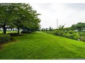 北五井緑道(公園)まで983m テンダーパレス