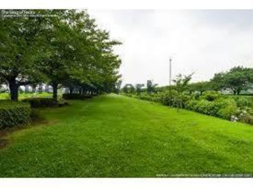 北五井緑道(公園)まで983m テンダーパレス