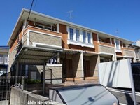 プリムローズ（根田）