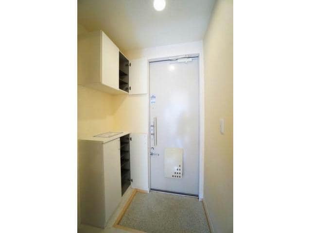  ルミノシーテＤ