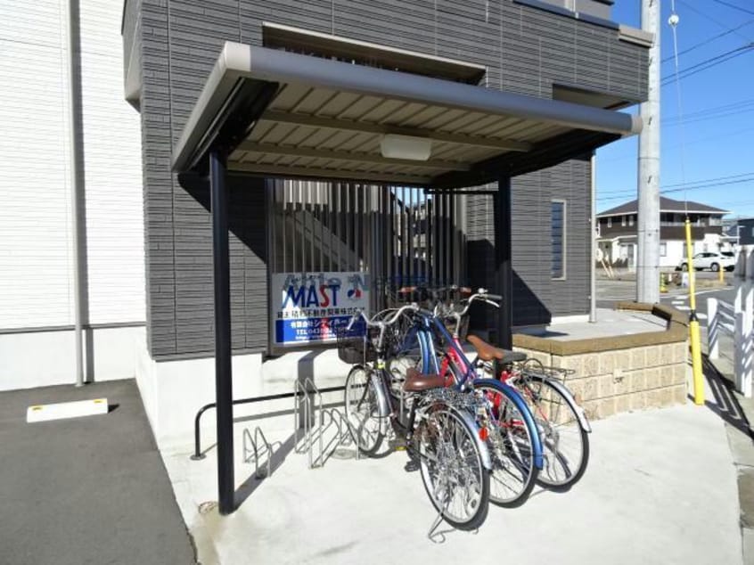  New Rich  ニューリッチ