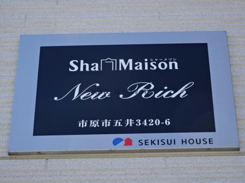  New Rich  ニューリッチ