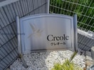 クレオール クレオール